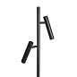 Carlo floor lamp two Dyberg Larsen торшер черный 9021