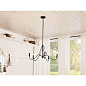 Freesia 5 Light Chandelier Textured Black люстра 52455BKT Kichler