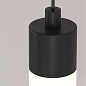 Ray Maytoni подвесной светильник P022PL-L10B черный