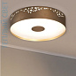 04505TNDHXXXX Elesi luce Gaia PL M Round LED круглый потолочный светильник серый — фото 1