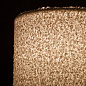 Декоративная настольная лампа Arte Lamp CHARLIE A5071LT-1SS — фото 2
