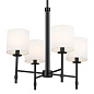 Ali 20" 4 Light Chandelier Black люстра 52504BK Kichler — фото 6