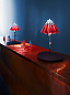 1365000 Campari Light Ingo Maurer настольная лампа — фото 1