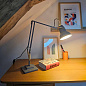 Настольная лампа Anglepoise Original 1227 Серый 31299 — фото 3