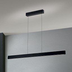 HL 6-1716/120 schwarz Orion Tara Подвесной светильник