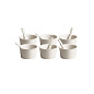 SE10642KIT Seletti ART DE LA TABLE Набор Estetico Quotidiano, 6 фарфоровых тарелок для мороженого и ложка — фото 1