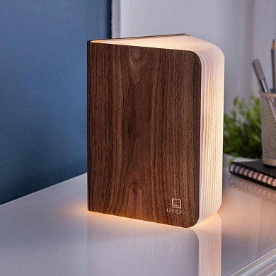 SMART BOOKLIGHT LARGE настольная лампа GINGKO GK12W1