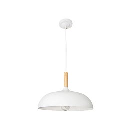 A7099SP-1WH Arte Lamp KAYLA подвесной светильник