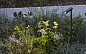 Ландшафтный светильник Simes Flower 35 S.1630 — фото 12