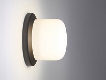 Настенно-потолочный светильник Leucos Glassdome P-PL 11