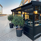 Настенный светильник Cambridge B BEL LIGHTING — фото 4