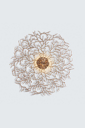 CORAL-ZOA-EYE Serip Coral Настенный светильник