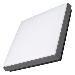 Накладной уличный потолочный светильник Arlight LGD-AREA 25-30 Вт IP54