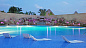 Подводный светильник Simes Minipool S.3686 — фото 3