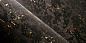 Bearded Leopard Wallcovering обои Moooi — фото 1