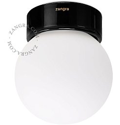 Настенно-потолочный светильник Zangra Dani IP54