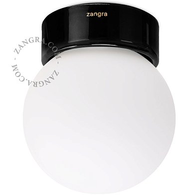 Настенно-потолочный светильник Zangra Dani IP54