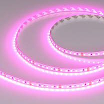 RT-A120-8mm 24V Magenta (9.6 W/m, IP20, 2835, 5m)