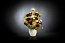 TULIPIER BABILON RANUNCOLO SMALL среднее цветочное украшение, VGnewtrend