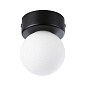 71068 Paulmann Gove IP44 G9 230 В макс. 20 Вт с регулировкой яркости, черный матовый/сатиновый — фото 5