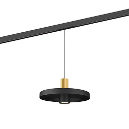 ODREY on track 1.2 LED Gold + Jet Black Wever Ducre Odrey On Track плоский трековый светильник чёрный с золотым элементом для магнитного трека 48V