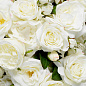 Искусственное растение Roses Eichholtz 119293 — фото 2