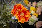 ATOLLO POPPY FLOWERS Цветочная композиция со стеклянной вазой VGnewtrend