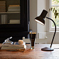 33028 Type 75 Anglepoise настольная лампа — фото 15