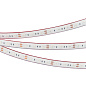 036281 Arlight Лента герметичная RTW-PFS-B60-13mm 12V Red (14.4 W/m, IP68, 5060, 5m) — фото 2