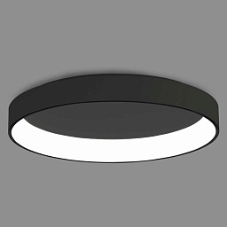 P345040N ACB Iluminacion Dilga потолочный светильник цилиндрической формы, корпус чёрный
