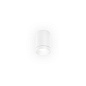 Потолочный светильник TAIO ROUND IP65 SURFACE 1.0 уличный потолочный накладной Wever & Ducre — фото 4