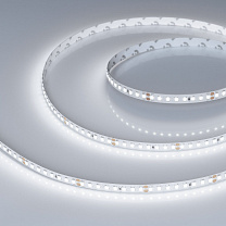 RT-A160-8mm 24V White6000 (12 W/m, IP20, 2835, 5m)