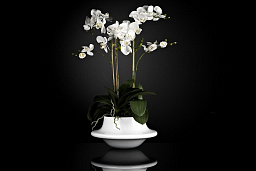 1141263.95 VGnewtrend Atollo Цветочное украшение