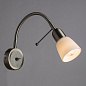 A7009AP-1SS Arte Lamp Lettura бра E14 1х40W — фото 1