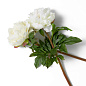 Искусственное растение Peonies Eichholtz 119279 — фото 3