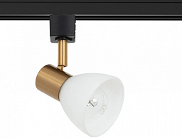 A3117PL-1BK Arte Lamp Falena магнитный трековый светильник с цилиндрическим плафоном и золотым элементом для однофазного шинопровода