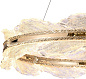 Люстра подвесная Stilfort Storm 4050/03/08P — фото 1