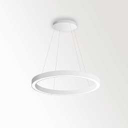 SUPER-OH! SLIM 80 CS SBL DOWN Delta Light Super-oh! подвесной потолочный светильник в форме узкого кольца