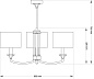 Подвесная люстра Kutek Decor Lampshade DEC-ZW-3 — фото 1