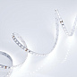 013747 Arlight Лента RT 2-5000 24V Cool 8K 2x (3528, 600 LED, LUX) — фото 2