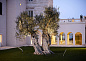 Прожектор Simes Pivot 7 Led 230v S.1766 — фото 9