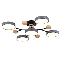SLE6006-702-05 ST-Luce Faema потолочный светильник