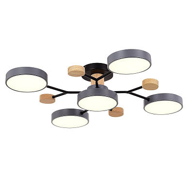Потолочный светильник Evoluce Faema SLE6006-702-05