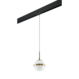 pro81311 Lightstar Globo Трековый светильник PRO 220V
