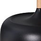 Подвесной светильник Arte Lamp KAYLA A7102SP-1BK — фото 2