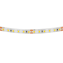 Лента теплого белого свечения 24V Lightstar 420853