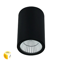 A1307PF-1BK Arte Lamp TORCULAR уличный потолочный светильник