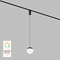 Трековый светильник Denkirs Smart Moon DK8056-BK — фото 5