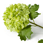 Искусственное растение Hydrangeas Eichholtz 119294 — фото 4