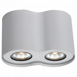 накладной потолочный светильник с двумя источниками света